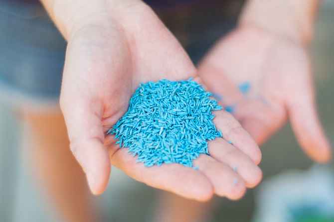 colored grass seeds help indicate where you've planted grass